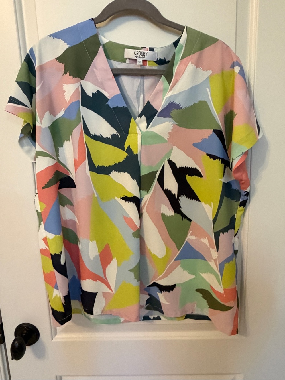 CROSBY by Mollie Burch Pastel Leaf-Print V-Neck Tunic — Multicolor